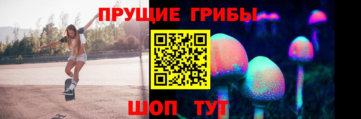 Псилоцибиновые грибы ЛСД Вязники