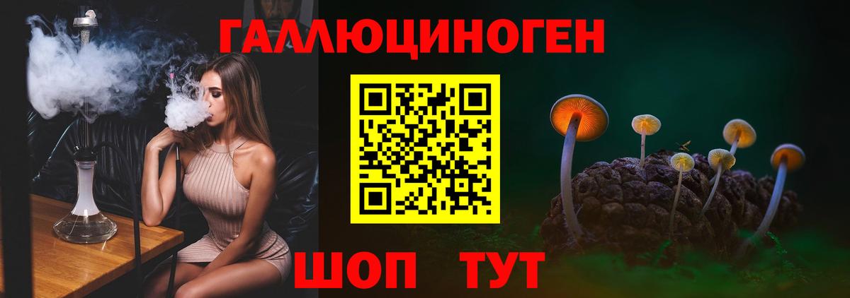 Вязники  Галлюциногенные грибы Magic Shrooms  Вход с VPN  Галлюциногенные грибы MAGIC MUSHROOMS 